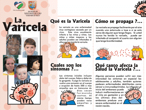 La Varicela - Informe Ultimo Trimestre 2010